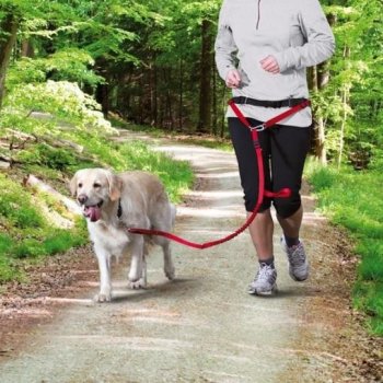 Trixie Pás na běh s nylonovým vodítkem pro střední a větší psy