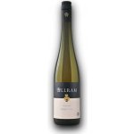 Allram Riesling 2024 Kamptal D.A.C. 12,5% 0,75 l (holá láhev) – Hledejceny.cz