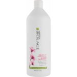 Matrix Biolage Colorlast Conditioner 1000 ml – Zbozi.Blesk.cz