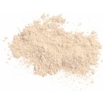 Colorescience Sunforgettable® Total Protection™ Brush-On Shield SPF50 Ochranný pudr ve štětci Fair 6 g – Zboží Dáma