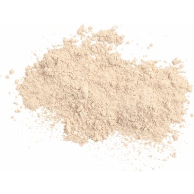 Colorescience Sunforgettable® Total Protection™ Brush-On Shield SPF50 Ochranný pudr ve štětci Fair 6 g – Zboží Dáma