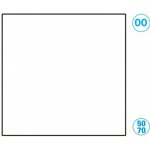Papír barevný 50 x 70cm bílá Folia – Hledejceny.cz