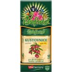 Kustovnice 300 mg 90 kapslí – Hledejceny.cz