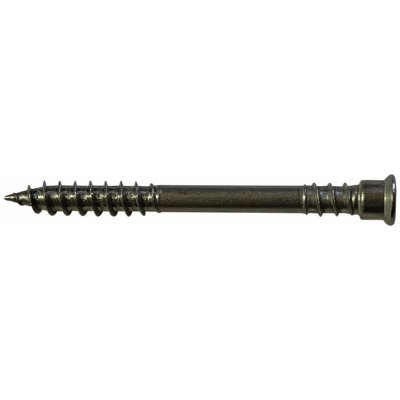 Vruty RAPI-TEC TERASO TOP 5,5x60mm TX25 nerez A4 – Sleviste.cz