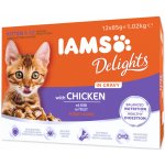 Iams Kitten delights chicken in gravy 1 kg – Zboží Dáma