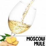 Moscow Mule 1 l PET (stáčené včetně lahve) – Zboží Dáma