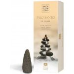 Back Flow Cones Vonné kužely tekoucí dým Svaté dřevo Palo Santo 10 ks – Sleviste.cz