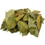 World Herbs Graviola anona list 100 g – Zboží Mobilmania