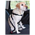 Bioveta Hyalchondro DC plus 1 x 120 ml – Hledejceny.cz