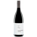 Paul Achs Blaufränkisch Heideboden BIO Burgenland 2024 0,75 l (holá láhev) – Hledejceny.cz