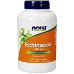 Now Foods Třapatka Echinacea 400 mg 250 kapslí – Hledejceny.cz