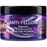 Ronney Silver Power Mask 300 ml – Zboží Mobilmania