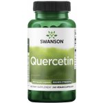 Swanson High Potency Quercetin Vyšší účinnost Quercetin 475 mg 60 rostlinných kapslí – Hledejceny.cz