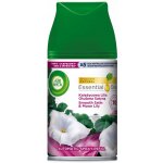 Air Wick Freshmaticic Satén lilie náplň 250 ml – HobbyKompas.cz