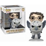 Funko Pop! 123 Harry Potter and Buckbeak – Zboží Mobilmania