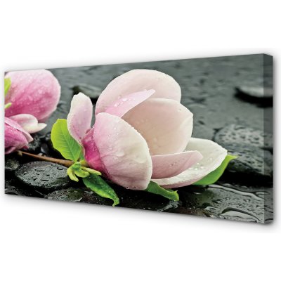 Obrazy na plátně Magnolia kameny 100x50 cm – Zboží Mobilmania