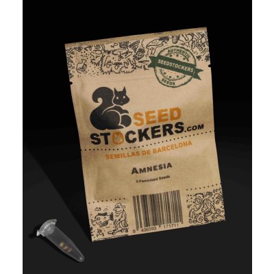 Seedstockers Amnesia semena neobsahují THC 3 ks – Hledejceny.cz