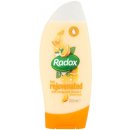 Radox Feel rejuvenated sprchový gel 250 ml