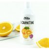 Chia Shake Carnitine 500 ml