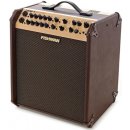 Fishman Loudbox Performer