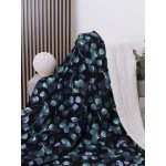 MKLuzkoviny.cz Beránková deka mikroplyš Eukalyptus 2 220x200 – Hledejceny.cz