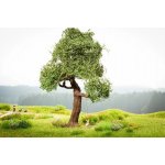 Noch Strom s houpačkou – Zboží Mobilmania