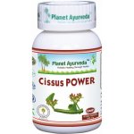 Planet Ayurveda Cissus Power 60 kapslí – Hledejceny.cz