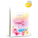 Eurona by Cerny Eurona Parfémová sašetka Čistá 125 ml – HobbyKompas.cz