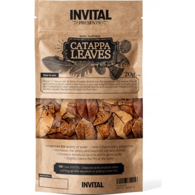 Invital CatappaLeaves 20 g – Zboží Dáma