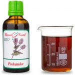 Bylinné kapky Pavlovy Pohanka BIO tinktura 50 ml – Hledejceny.cz