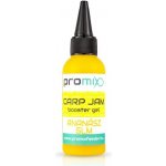 Promix Goost Jam 60ml Sladký ananas – Hledejceny.cz