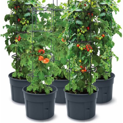 Prosperplast Sada 5X Květináč Na Pěstování Rajčat Tomato Grower 392X1530 Mm - Antracit