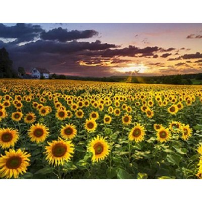 Gaira Diamantové malování Slunečnice D0795 – Sleviste.cz