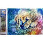 Norimpex Diamantové malování Pes s motýlem 30 x 40 cm – Sleviste.cz
