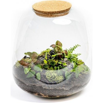 Gardners Skleněná dóza Molinia s korkovým špuntem, 25x23 cm - osázené vlhkomilně – Hledejceny.cz