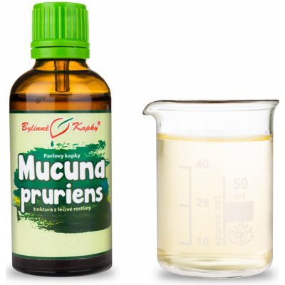 Bylinné kapky Mucuna pruriens tinktura 50 ml – Hledejceny.cz