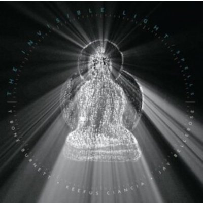 The Invisible Light - T Bone Burnett/Jay Bellerose/Keefus Ciancia LP – Hledejceny.cz