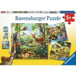 Ravensburger Zvířata v zoo lese nebo v domě 3 x 49 dílků – Sleviste.cz