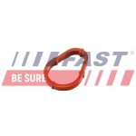 Těsnění, vakuové čerpadlo FAST FT50702 – Zboží Mobilmania