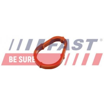 Těsnění, vakuové čerpadlo FAST FT50702 – Zboží Mobilmania