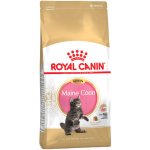 Royal Canin Kitten Maine Coon 2 x 4 kg – Hledejceny.cz