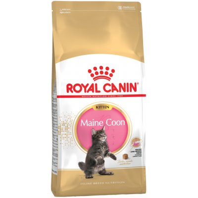 Royal Canin Kitten Maine Coon granule pro mainská mývalí koťata 4 kg – Zboží Mobilmania