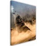 Gario Obraz na plátně Dva vlci vyjí v noci na měsíc Rozměry: 40 x 60 cm – Hledejceny.cz