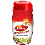 Dabur Chyawanprash Čavanpraš imunita obranyschopnost vitalita 1 kg – Zboží Mobilmania