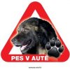 Autovýbava Grel nálepka na sklo pozor pes v autě kavkavský ovčák