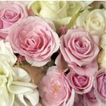 Ubrousek vintagerůžové růže – Zboží Dáma