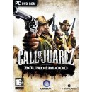 Call Of Juarez: Bound in Blood