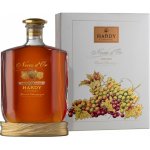 Hardy Noces d’Or 40% 0,7 l (karton) – Hledejceny.cz