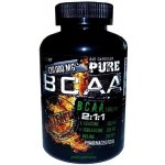 Extrifit BCAA 2:1:1 Pure 240 kapslí – Hledejceny.cz