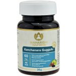 Maharishi Ayurveda Kanchanara Guggulu 60 kapslí – Hledejceny.cz